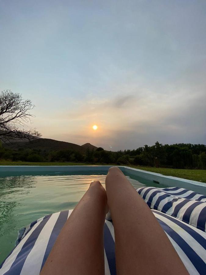 Vrisch Gewagt Boutique Self-Catering Olive Farm Guest House Prince Albert Ngoại thất bức ảnh