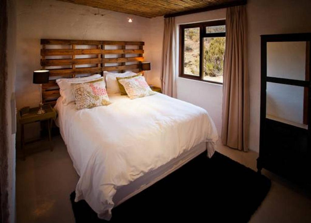 Vrisch Gewagt Boutique Self-Catering Olive Farm Guest House Prince Albert Phòng bức ảnh